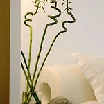 Petasos & - Small Luxury Of The World אתר נופש פלאטיס יאלוס