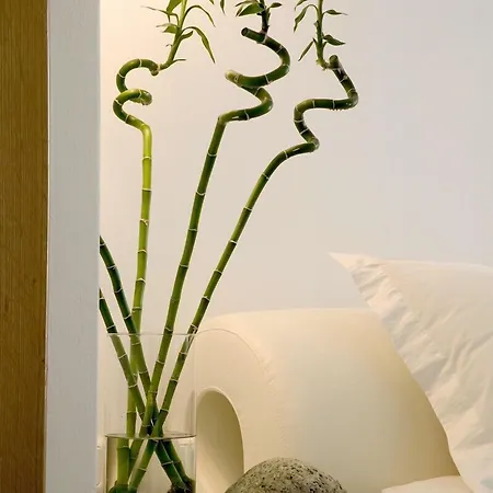 Petasos & - Small Luxury Of The World Ośrodek wypoczynkowy Platys Gialos (Mykonos)