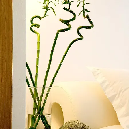Hotel Petasos & - Small Luxury Of The World